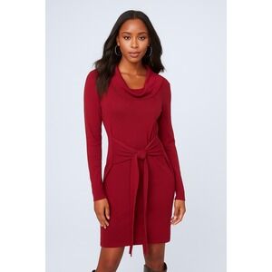 Boston Proper Cranberry Sweater Dress – Size‎ M